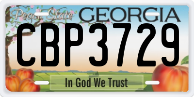GA license plate CBP3729