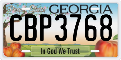 GA license plate CBP3768