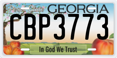 GA license plate CBP3773