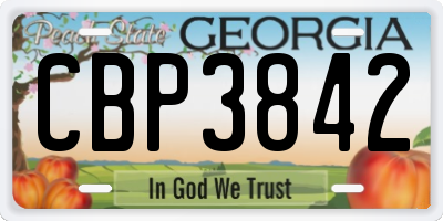 GA license plate CBP3842