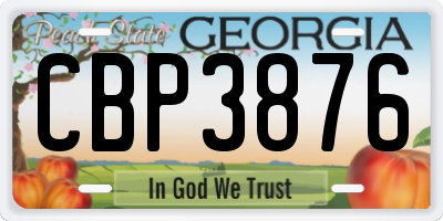 GA license plate CBP3876