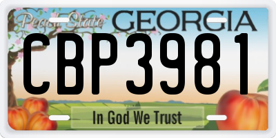 GA license plate CBP3981
