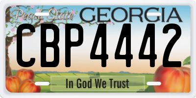 GA license plate CBP4442
