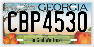 GA license plate CBP4530