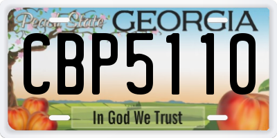 GA license plate CBP5110
