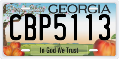 GA license plate CBP5113