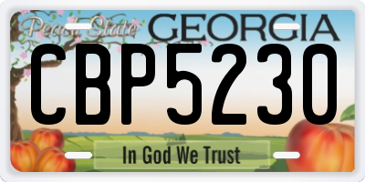 GA license plate CBP5230