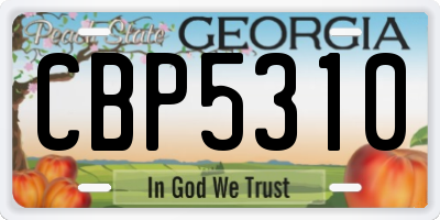 GA license plate CBP5310
