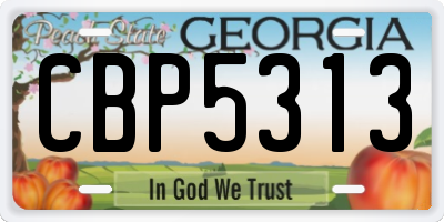 GA license plate CBP5313