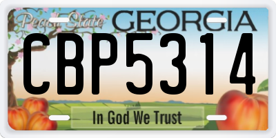 GA license plate CBP5314