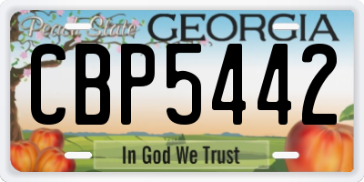 GA license plate CBP5442
