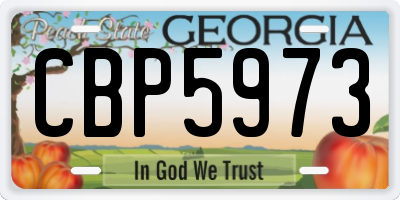 GA license plate CBP5973