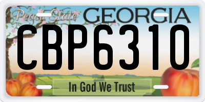 GA license plate CBP6310