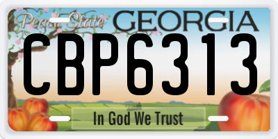 GA license plate CBP6313