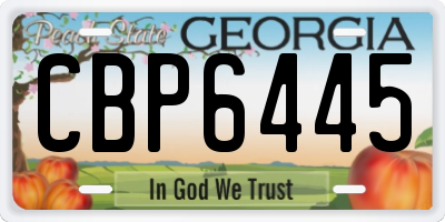 GA license plate CBP6445