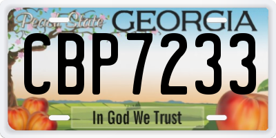 GA license plate CBP7233