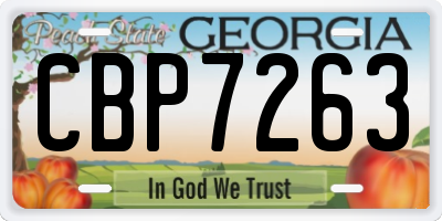 GA license plate CBP7263