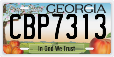 GA license plate CBP7313