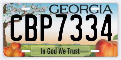 GA license plate CBP7334