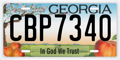 GA license plate CBP7340