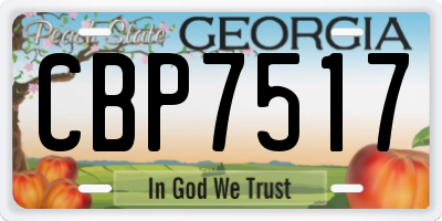 GA license plate CBP7517
