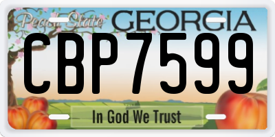 GA license plate CBP7599