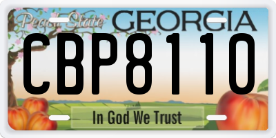 GA license plate CBP8110
