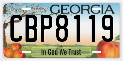 GA license plate CBP8119