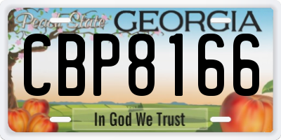 GA license plate CBP8166