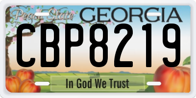 GA license plate CBP8219