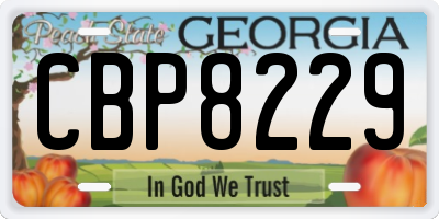 GA license plate CBP8229