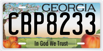 GA license plate CBP8233