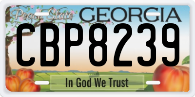 GA license plate CBP8239