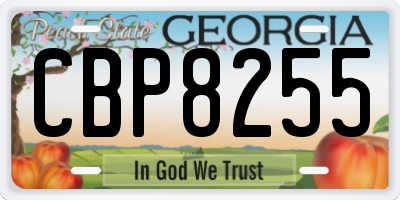 GA license plate CBP8255