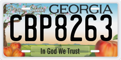 GA license plate CBP8263
