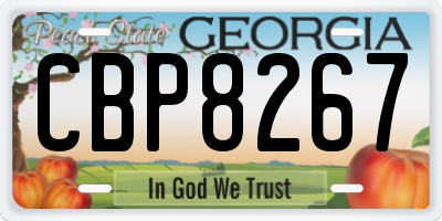 GA license plate CBP8267