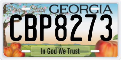 GA license plate CBP8273