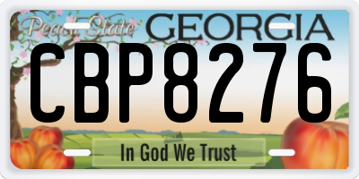 GA license plate CBP8276