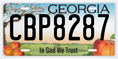 GA license plate CBP8287