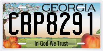 GA license plate CBP8291
