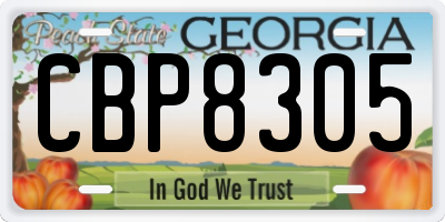 GA license plate CBP8305