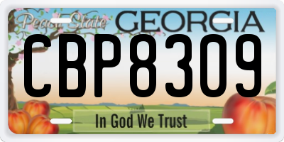 GA license plate CBP8309