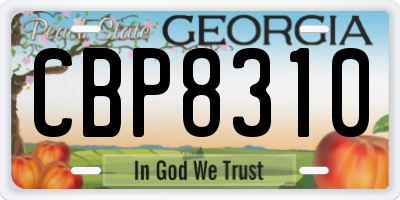 GA license plate CBP8310