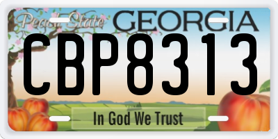 GA license plate CBP8313
