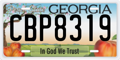 GA license plate CBP8319