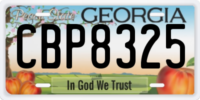 GA license plate CBP8325
