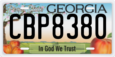 GA license plate CBP8380