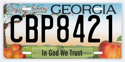 GA license plate CBP8421