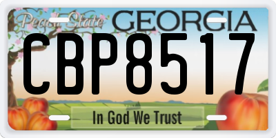 GA license plate CBP8517