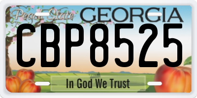 GA license plate CBP8525